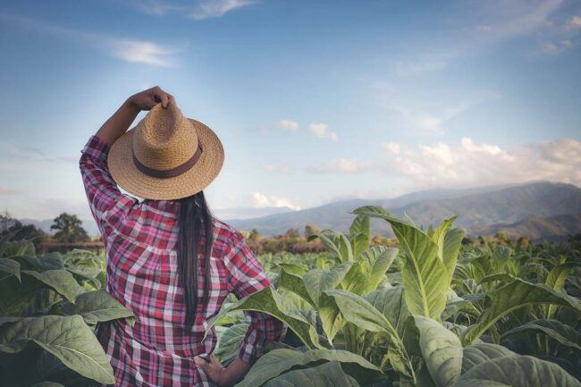 agricoltura-biologica-agriforum