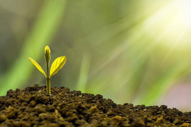 startup-innovative-agriforum