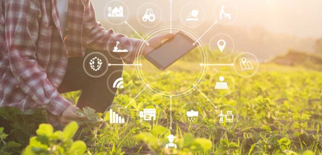 blockchain-agricoltura