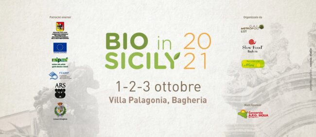 242214040_929252041281417_6254027345775869363_n